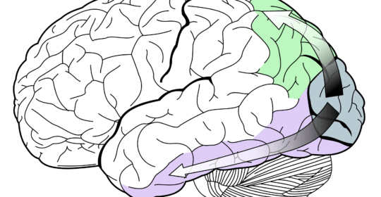 Neuropsychological Testing